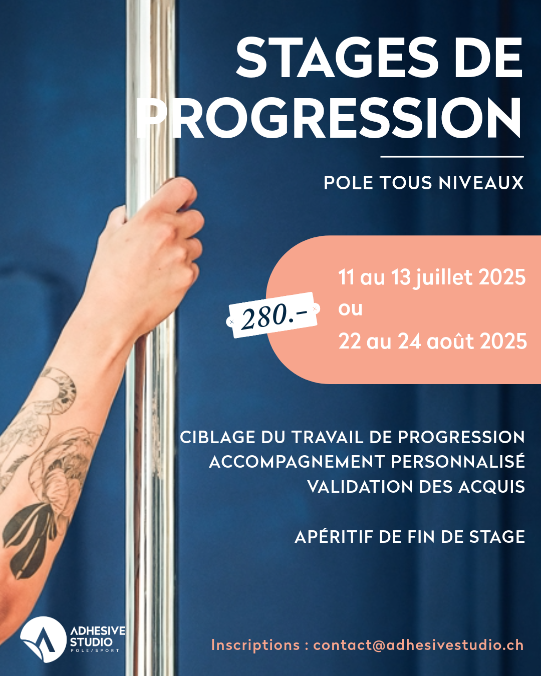 workshop pole dance Genève, workshop poledance geneve, workshop pole genève, workshop pole genève
